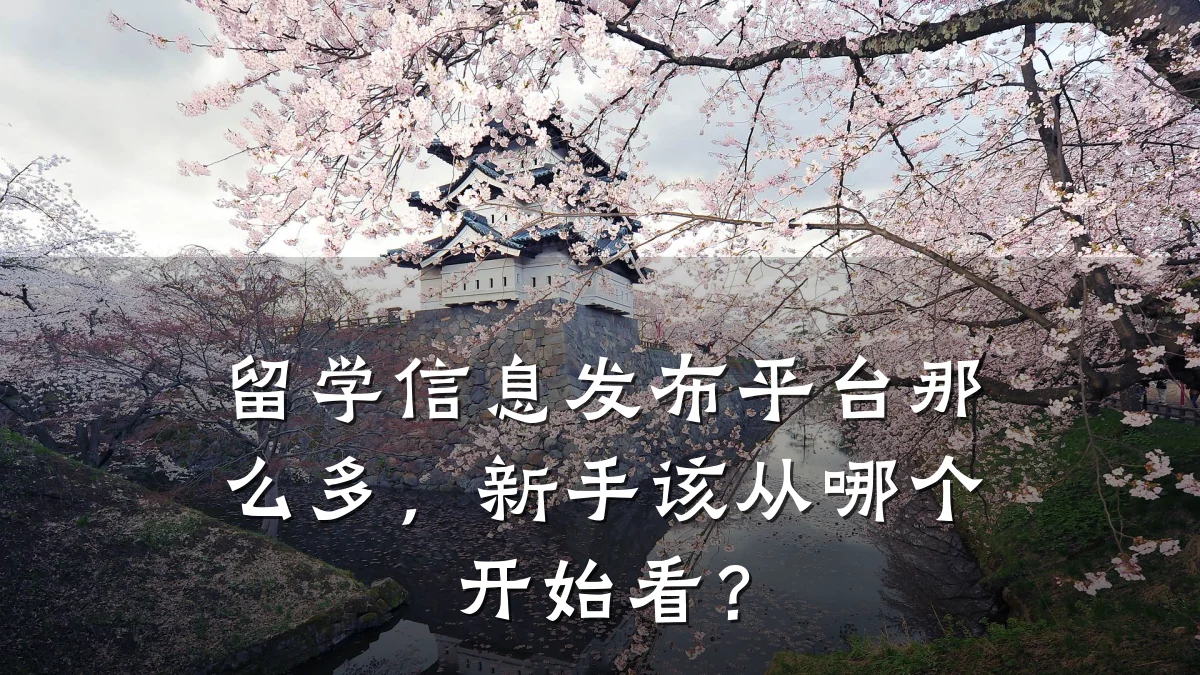 留学信息发布平台那么多,新手该从哪个开始看?