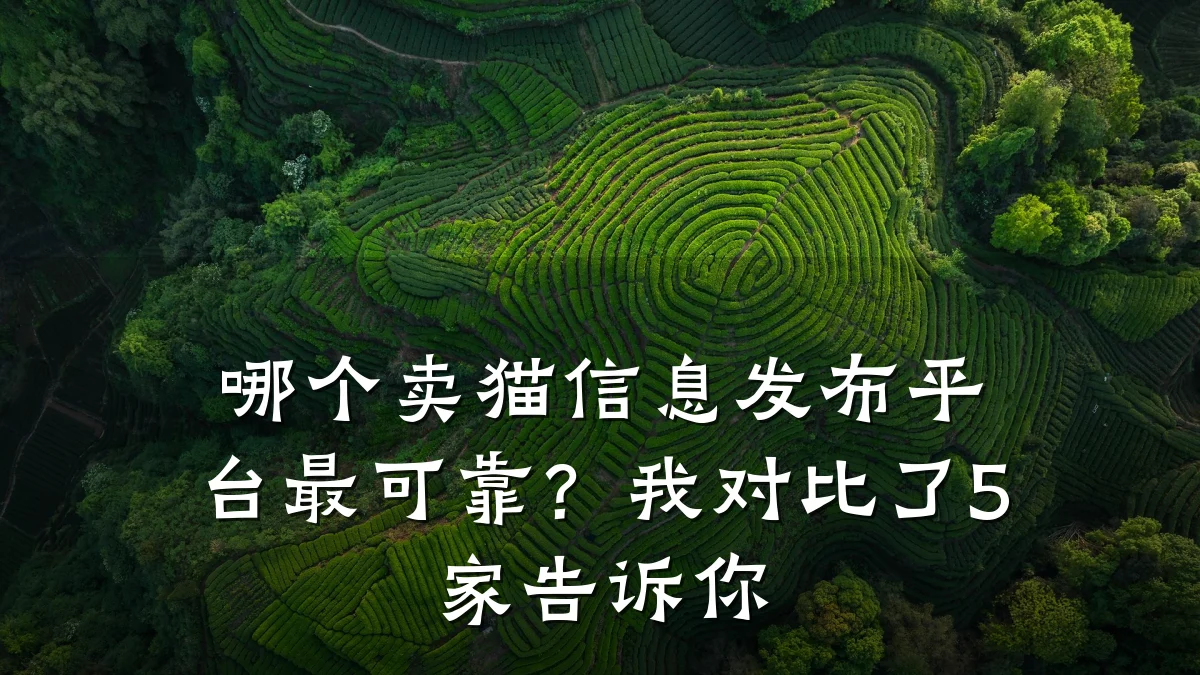 哪个卖猫信息发布平台最可靠?我对比了5家告诉你