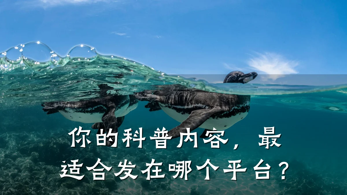 你的科普内容，最适合发在哪个平台？