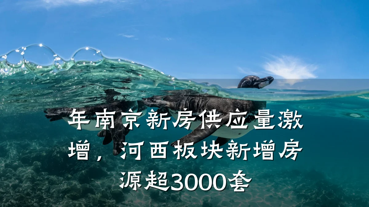 年南京新房供应量激增,河西板块新增房源超3000套