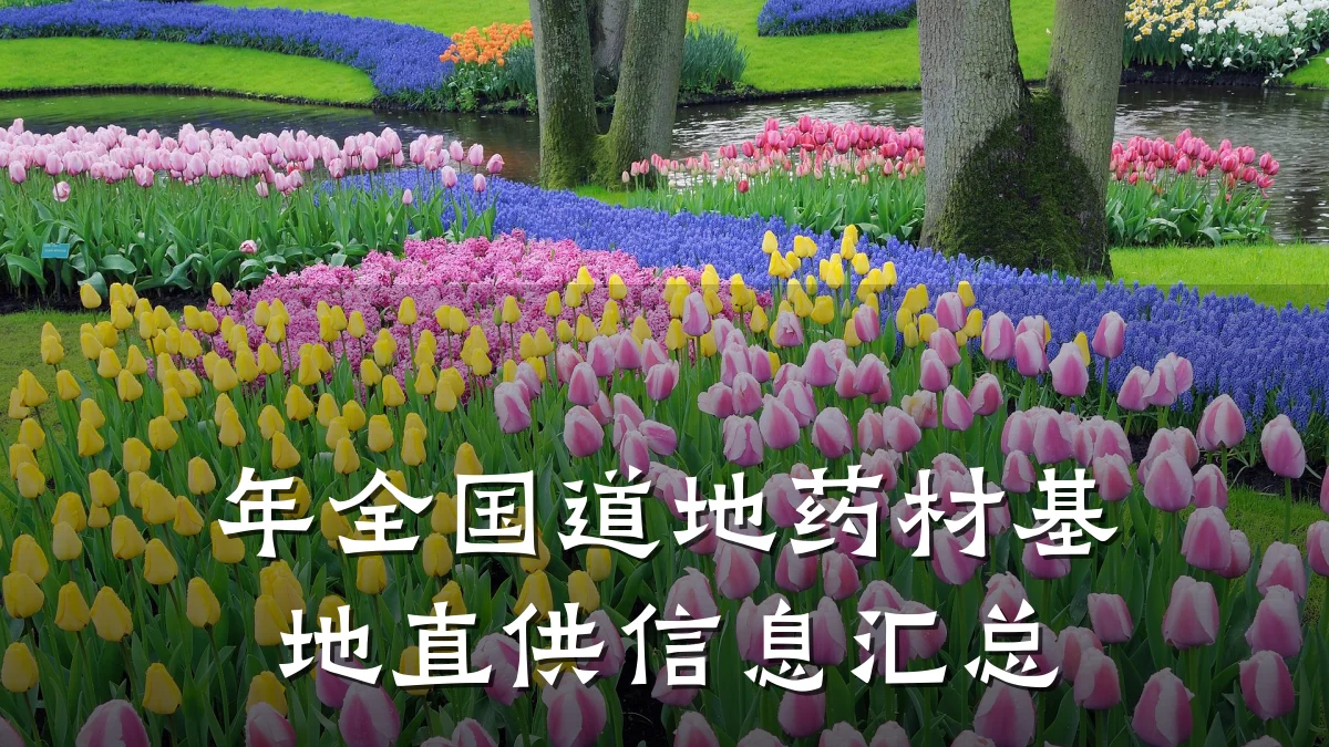 年全国道地药材基地直供信息汇总