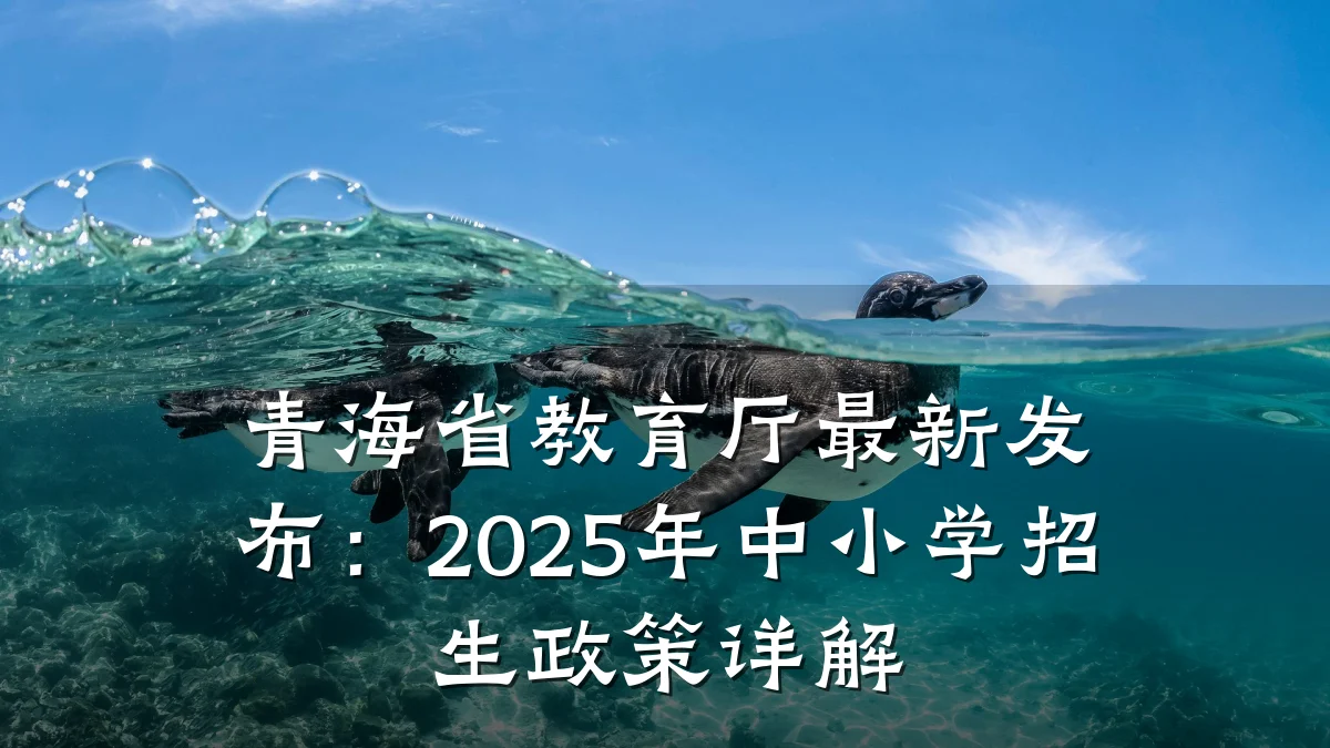 青海省教育厅最新发布:2025年中小学招生政策详解
