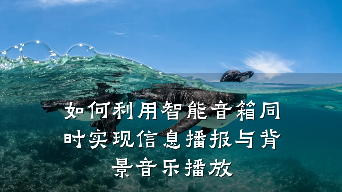 如何利用智能音箱同时实现信息播报与背景音乐播放