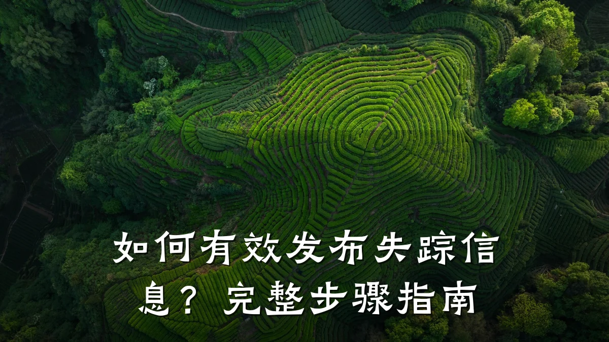 如何有效发布失踪信息?完整步骤指南