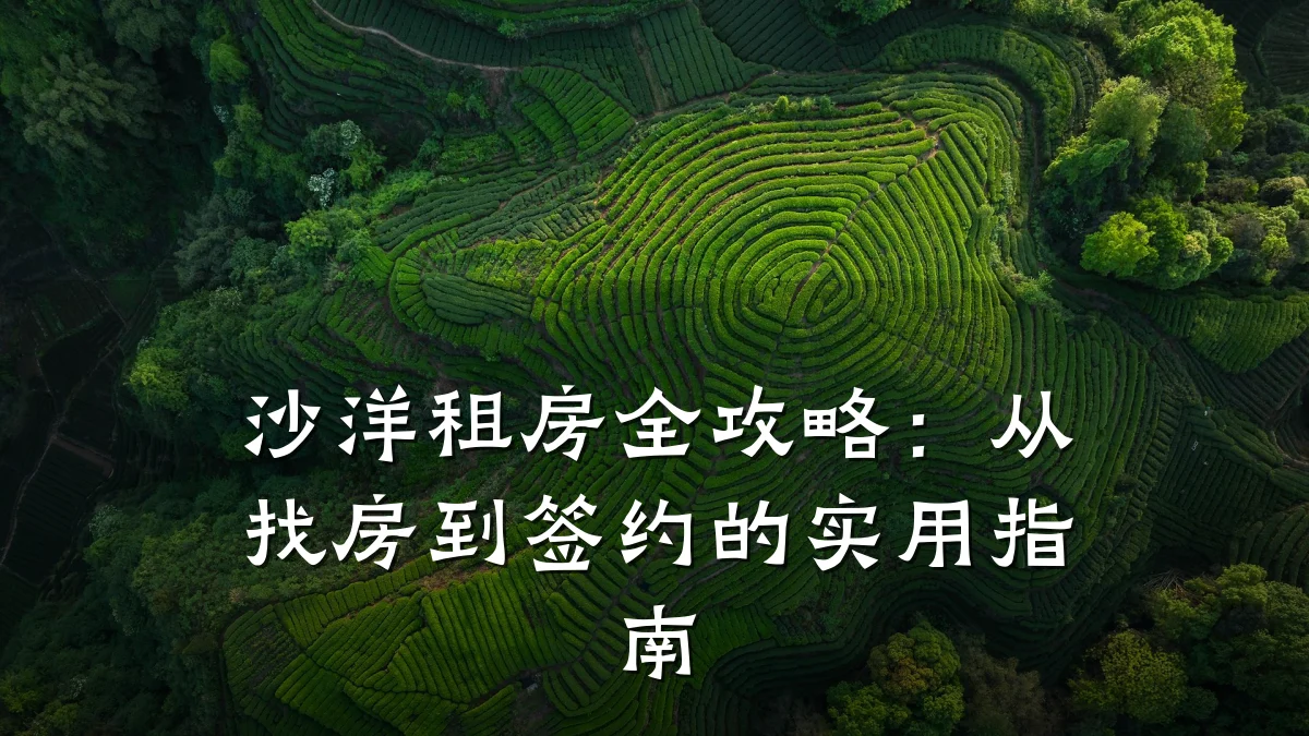 沙洋租房全攻略:从找房到签约的实用指南