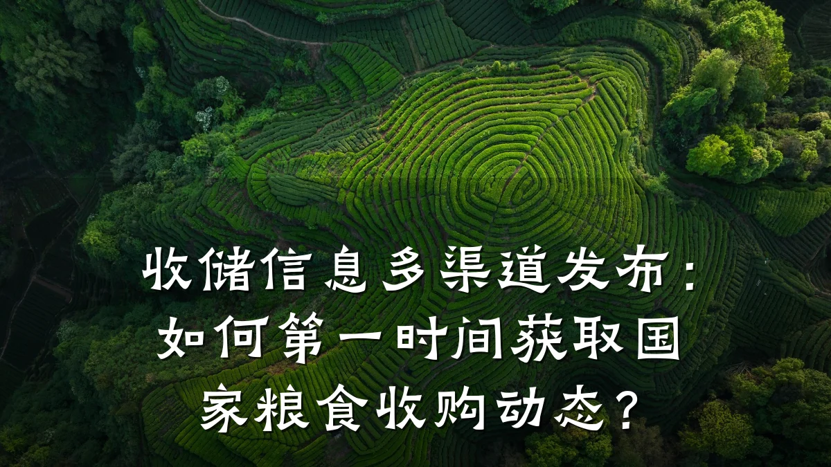 收储信息多渠道发布:如何第一时间获取国家粮食收购动态?