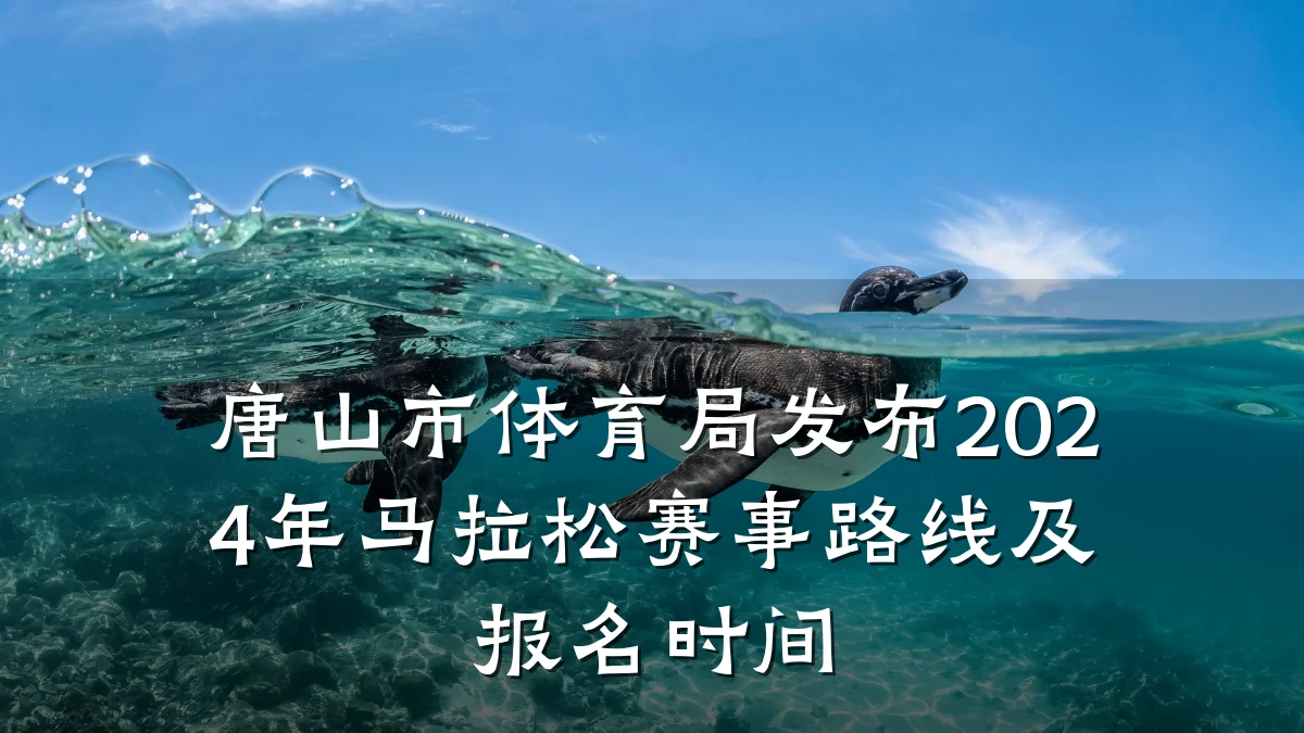 唐山市体育局发布2024年马拉松赛事路线及报名时间