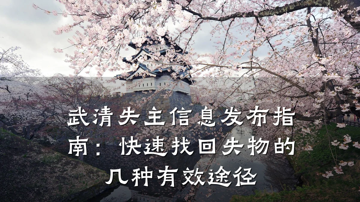 武清失主信息发布指南:快速找回失物的几种有效途径