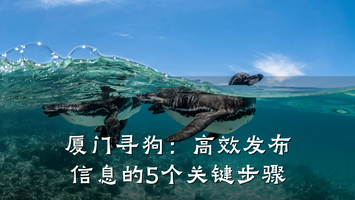 厦门寻狗:高效发布信息的5个关键步骤