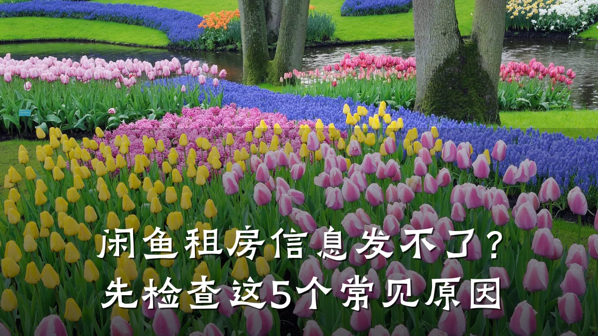 闲鱼租房信息发不了？先检查这5个常见原因