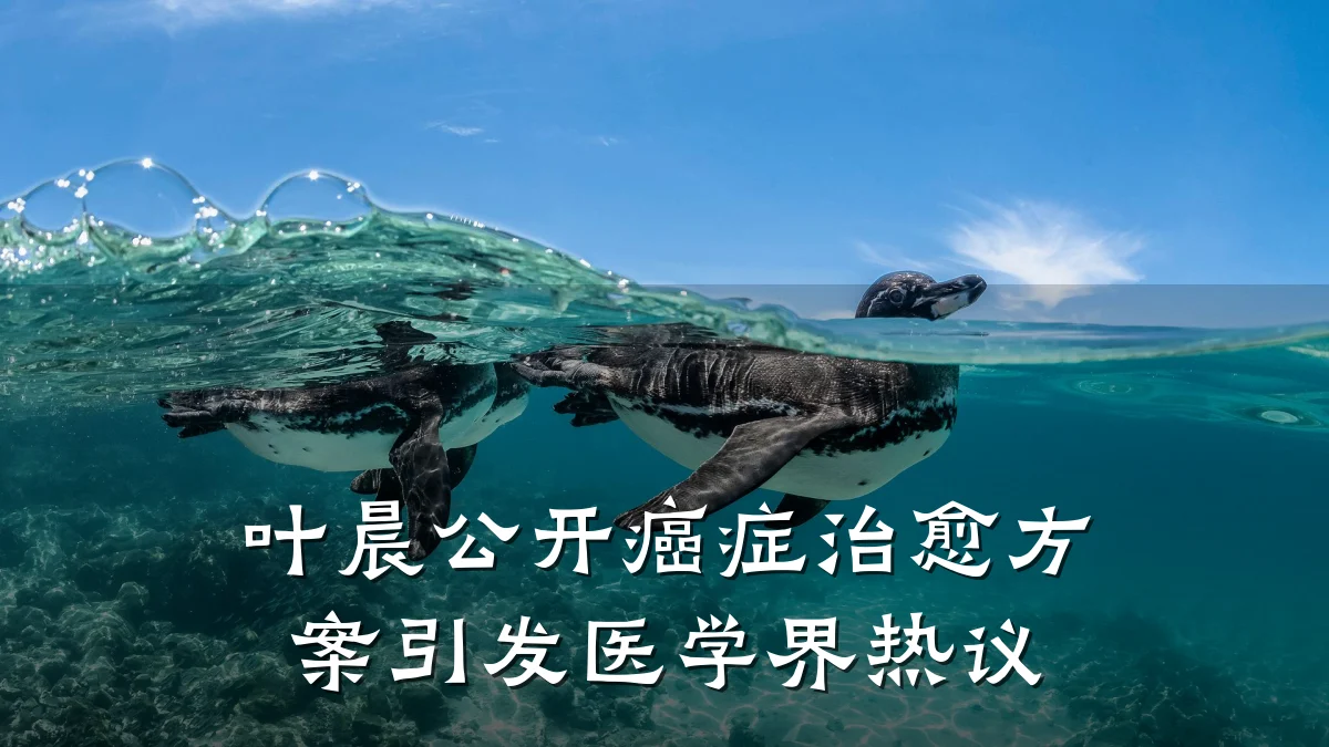 叶晨公开癌症治愈方案引发医学界热议