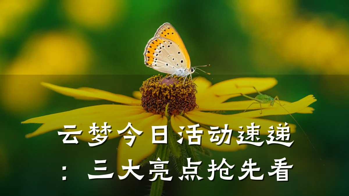 云梦今日活动速递:三大亮点抢先看