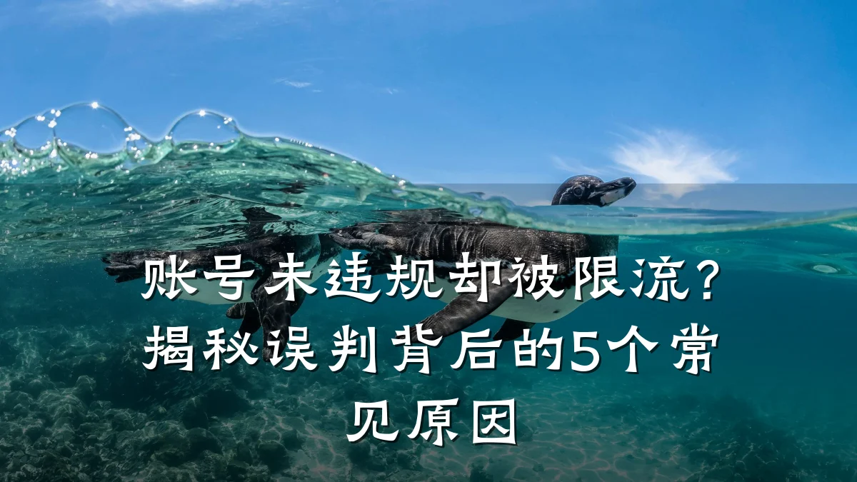 账号未违规却被限流？揭秘误判背后的5个常见原因