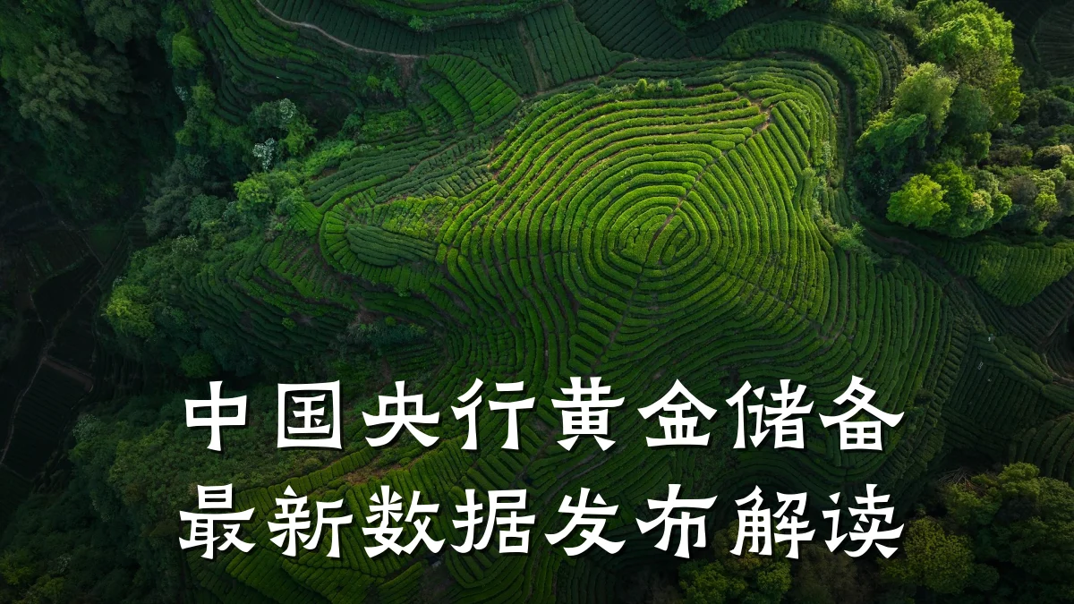 中国央行黄金储备最新数据发布解读