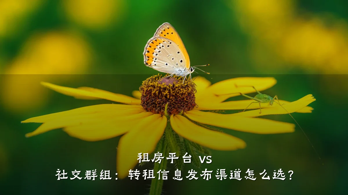 租房平台 vs 社交群组：转租信息发布渠道怎么选？