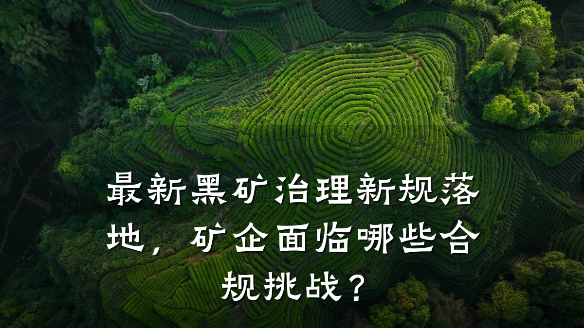 最新黑矿治理新规落地,矿企面临哪些合规挑战?