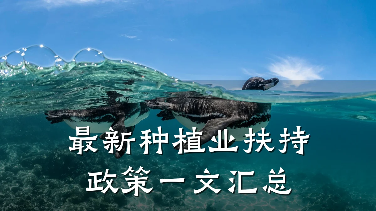最新种植业扶持政策一文汇总