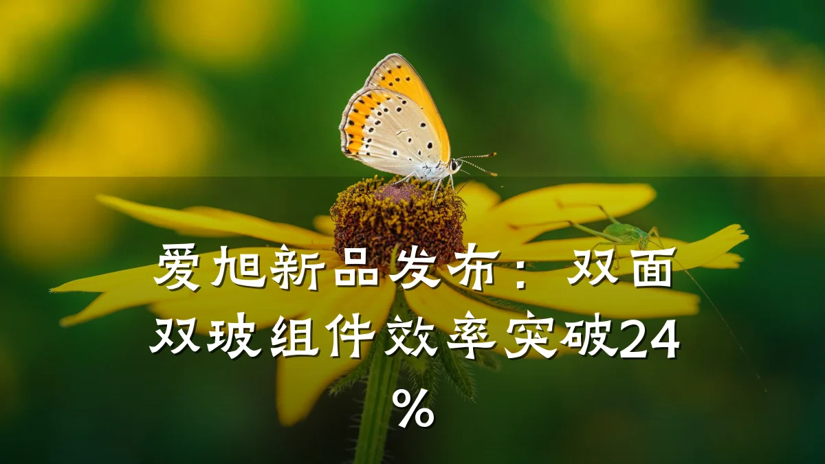 爱旭新品发布:双面双玻组件效率突破24%