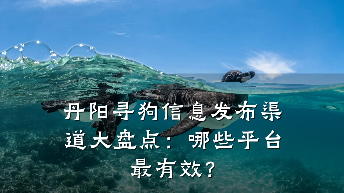 丹阳寻狗信息发布渠道大盘点:哪些平台最有效?