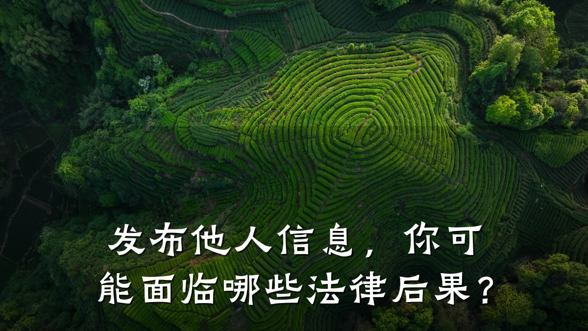 发布他人信息,你可能面临哪些法律后果?