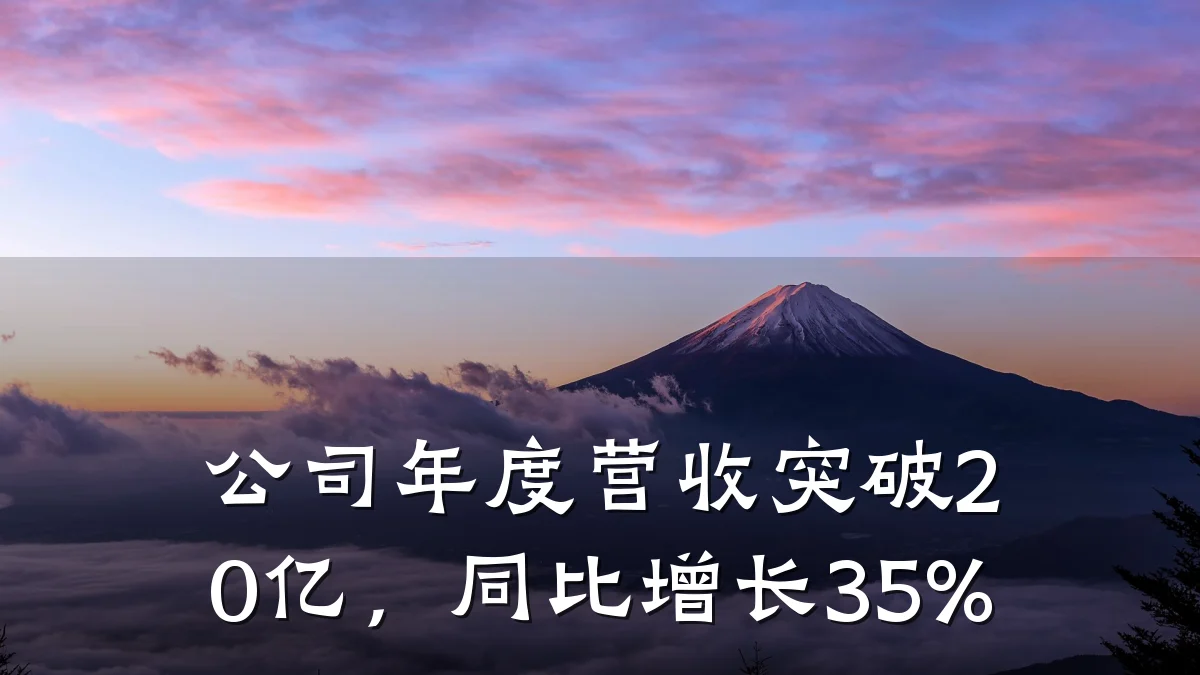 公司年度营收突破20亿,同比增长35%