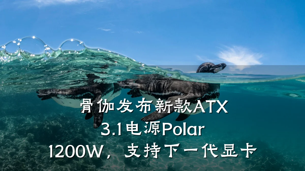 骨伽发布新款ATX 3.1电源Polar 1200W,支持下一代显卡
