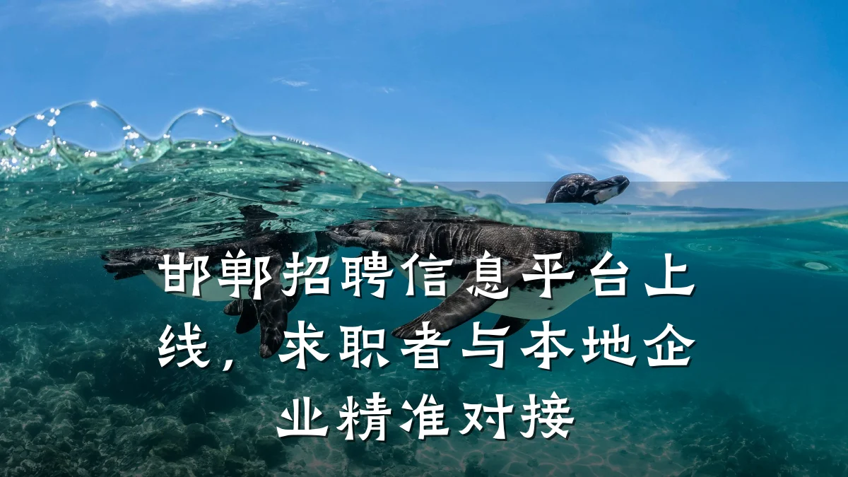邯郸招聘信息平台上线,求职者与本地企业精准对接