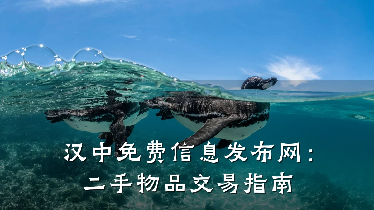 汉中免费信息发布网:二手物品交易指南