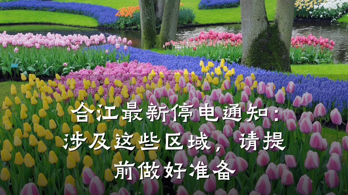 合江最新停电通知:涉及这些区域,请提前做好准备