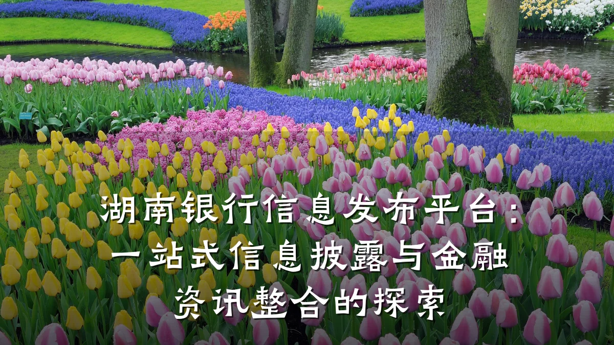 湖南银行信息发布平台:一站式信息披露与金融资讯整合的探索