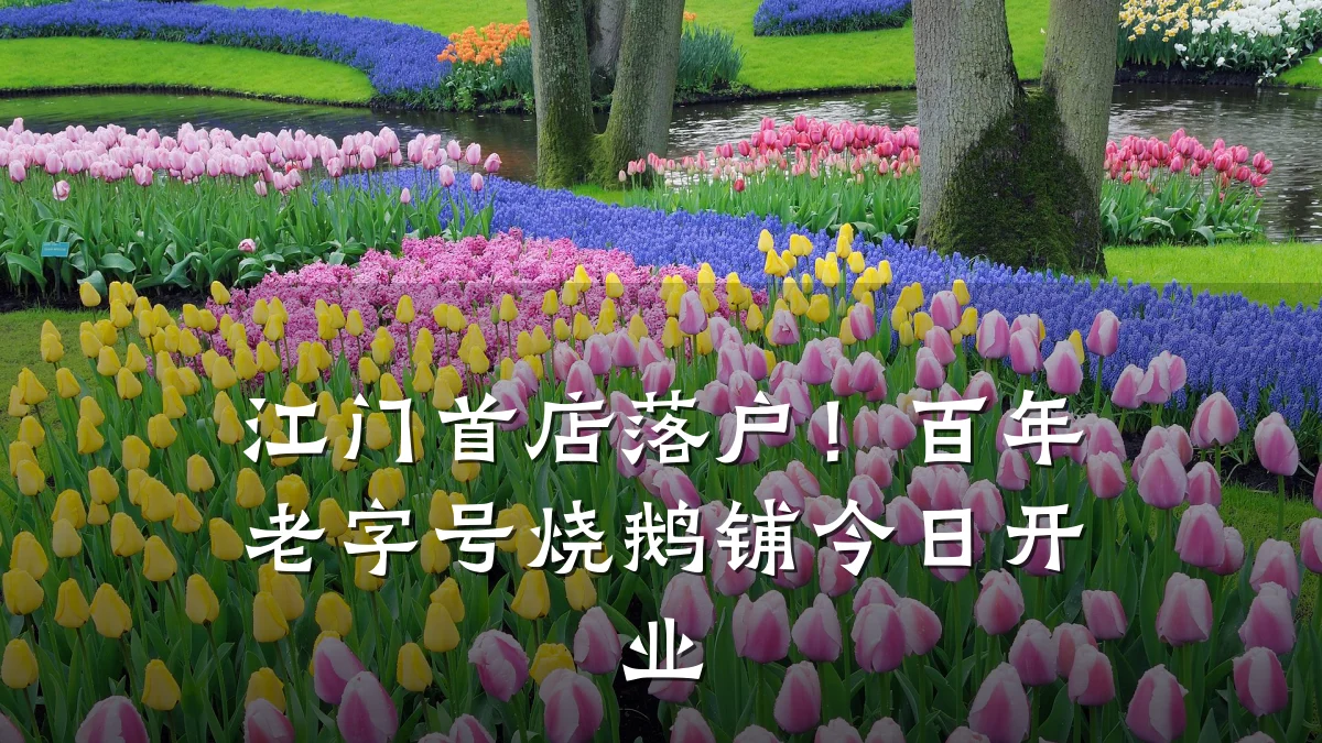 江门首店落户!百年老字号烧鹅铺今日开业
