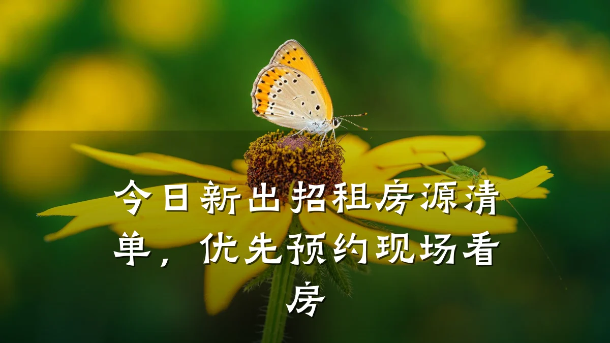 今日新出招租房源清单,优先预约现场看房
