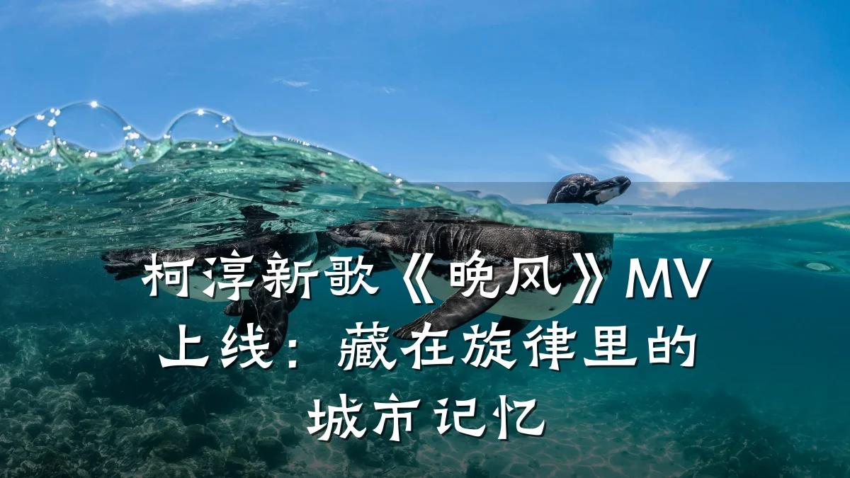 柯淳新歌《晚风》MV上线:藏在旋律里的城市记忆