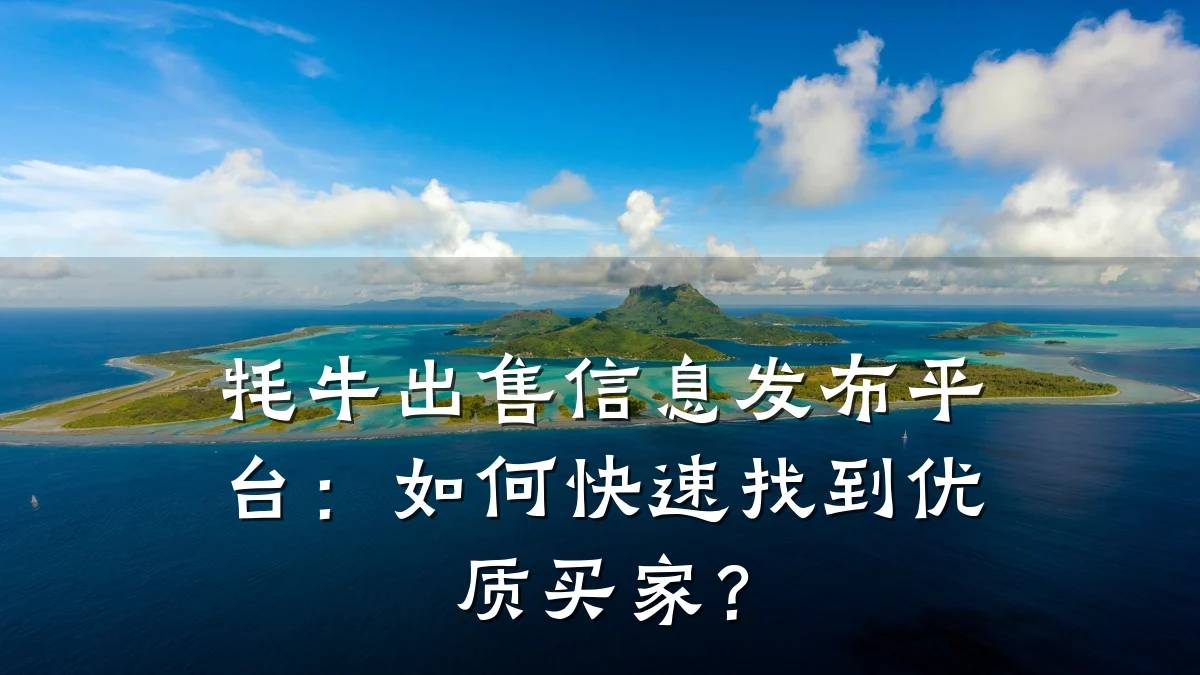 牦牛出售信息发布平台：如何快速找到优质买家？