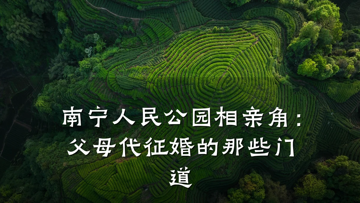 南宁人民公园相亲角:父母代征婚的那些门道