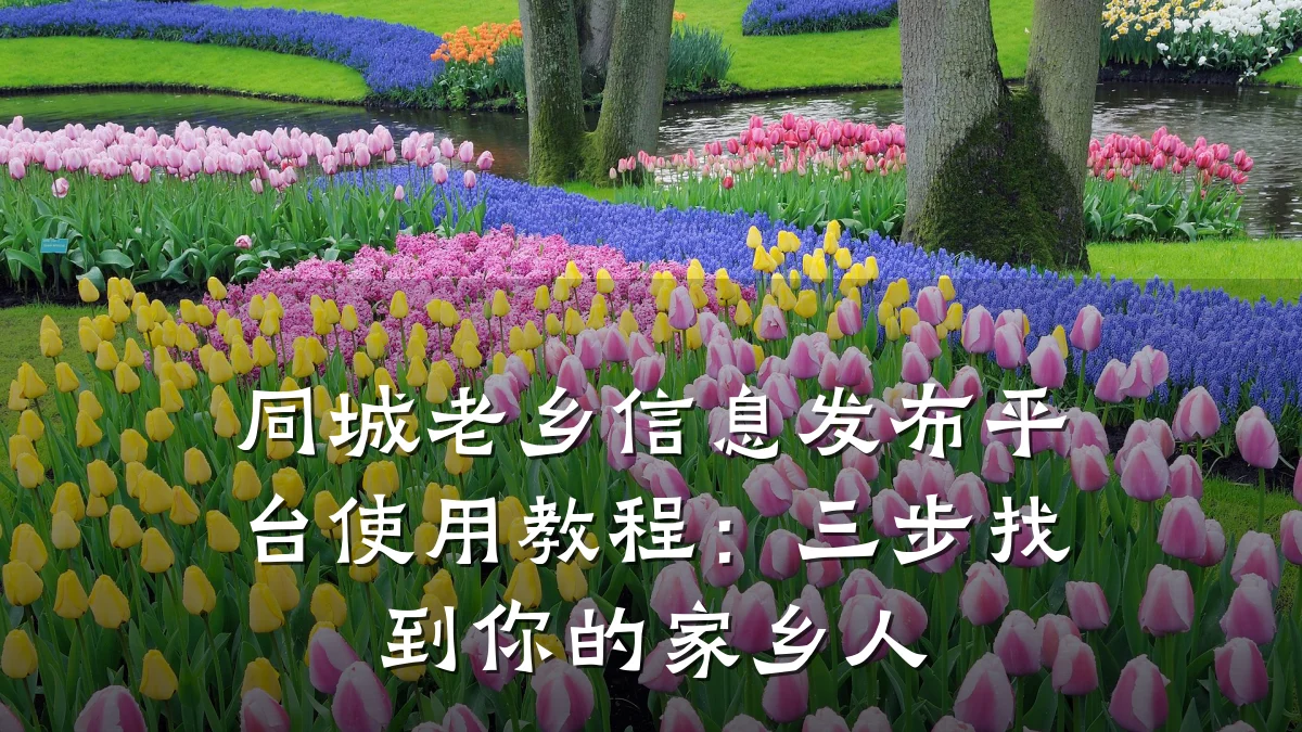 同城老乡信息发布平台使用教程:三步找到你的家乡人