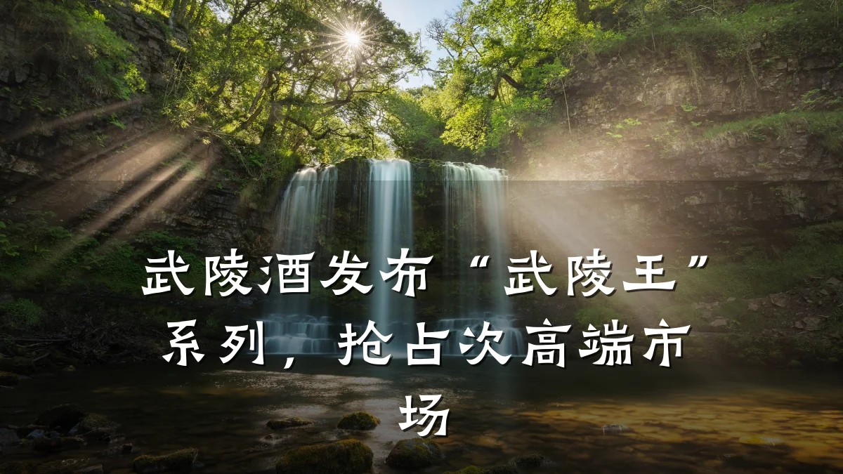 武陵酒发布“武陵王”系列,抢占次高端市场