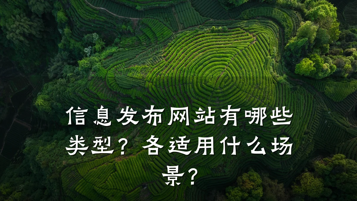 信息发布网站有哪些类型？各适用什么场景？