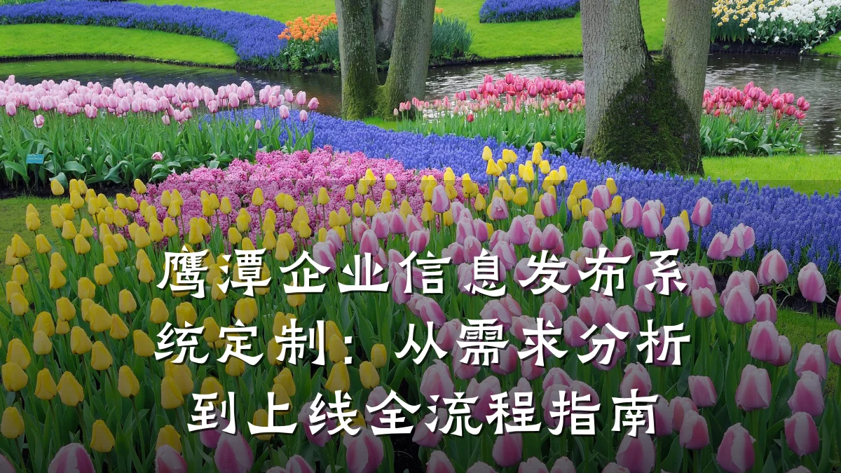 鹰潭企业信息发布系统定制:从需求分析到上线全流程指南