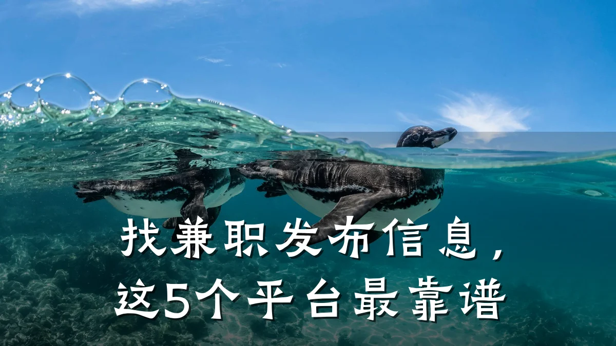 找兼职发布信息,这5个平台最靠谱