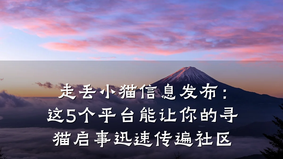 走丢小猫信息发布:这5个平台能让你的寻猫启事迅速传遍社区
