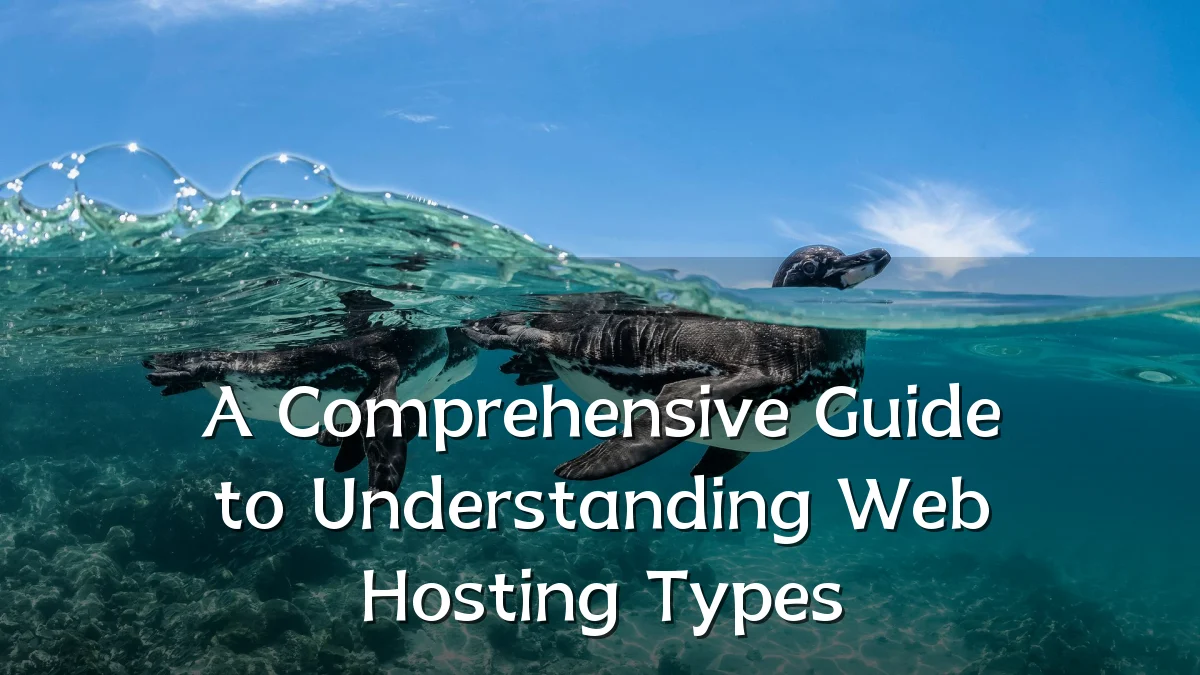 A Comprehensive Guide to Understanding Web Hosting Types