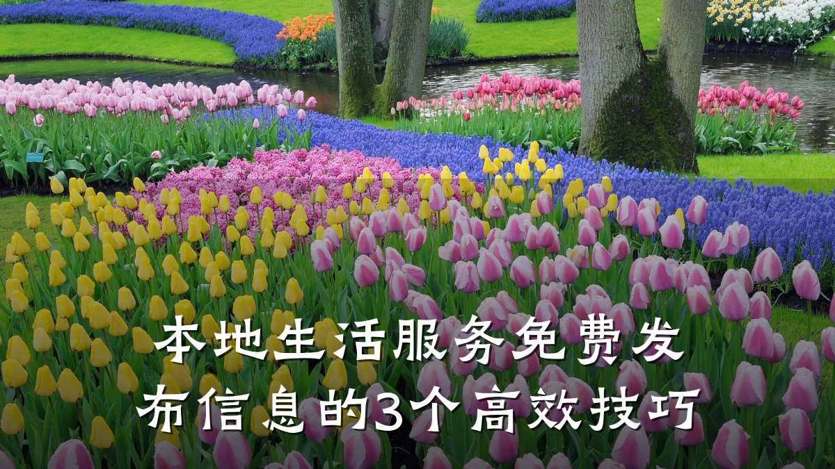 本地生活服务免费发布信息的3个高效技巧