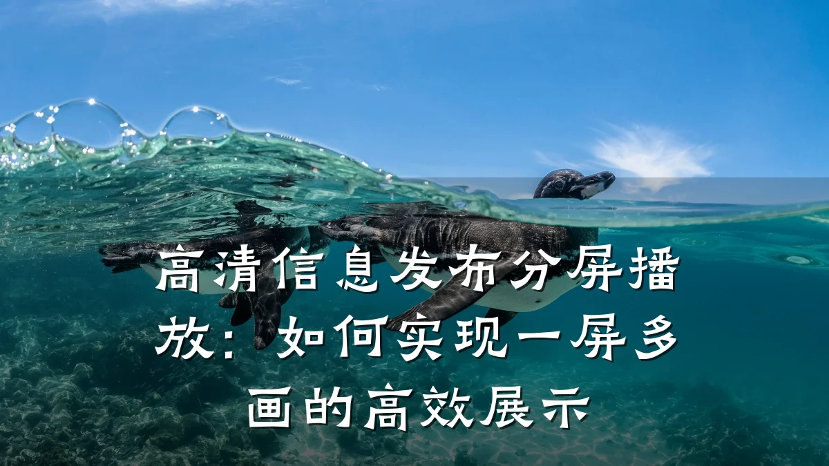 高清信息发布分屏播放:如何实现一屏多画的高效展示