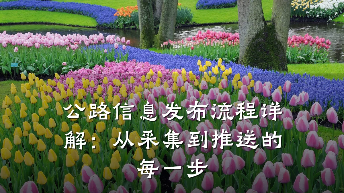 公路信息发布流程详解：从采集到推送的每一步