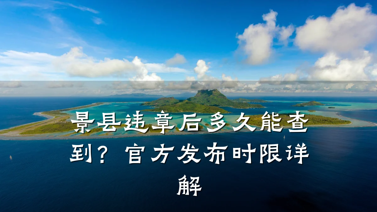景县违章后多久能查到?官方发布时限详解