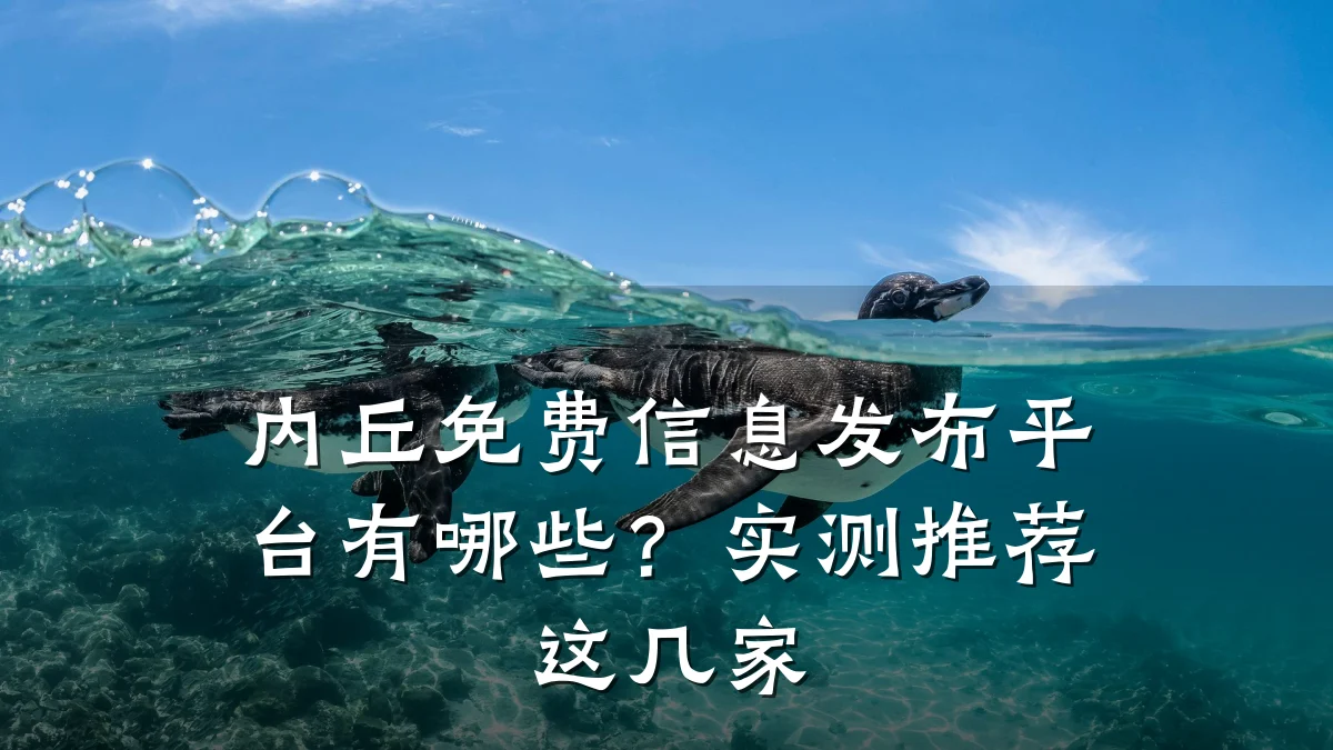 内丘免费信息发布平台有哪些？实测推荐这几家