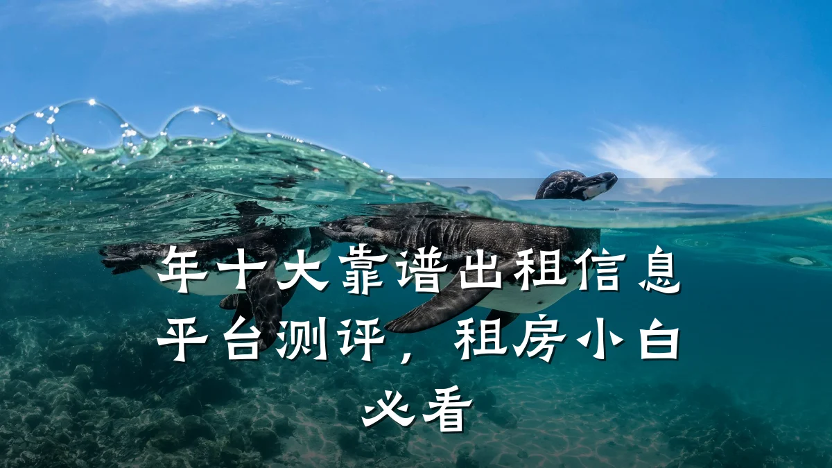 年十大靠谱出租信息平台测评,租房小白必看