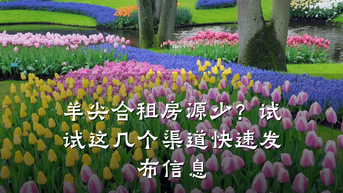 羊尖合租房源少?试试这几个渠道快速发布信息