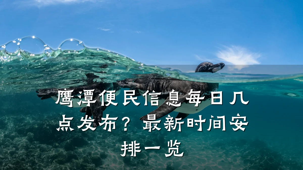 鹰潭便民信息每日几点发布?最新时间安排一览
